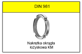 DIN_981
