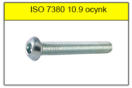 ISO 7380 10.9 OCYNK
